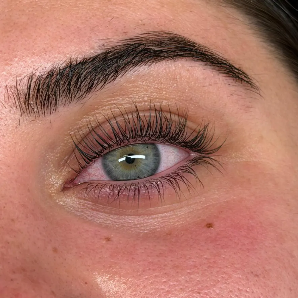 Lifted natural lashes after a Korean Lash Lift
